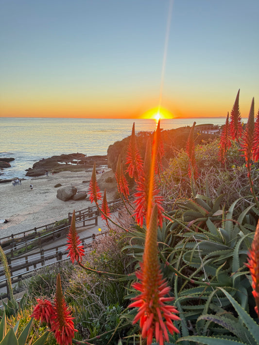 Believing in Magic (And Clapping for Fairies)